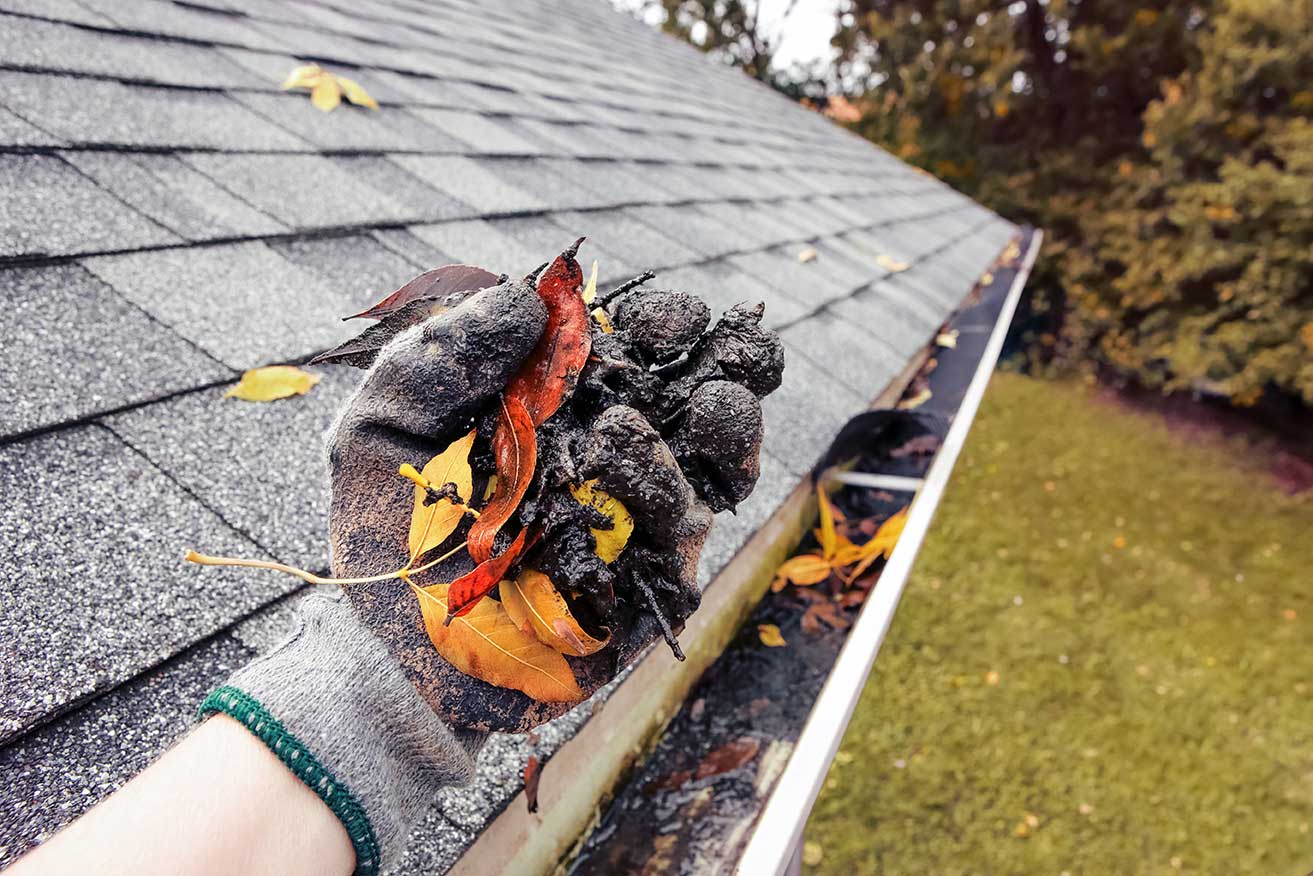 gutter-cleaning-company