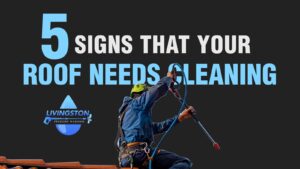 5-signs-your-roof-needs-cleaning-before-costly-damage