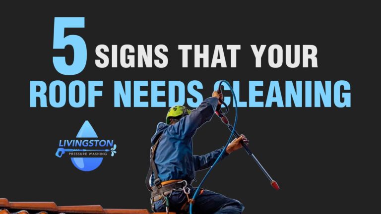 5-signs-your-roof-needs-cleaning-before-costly-damage